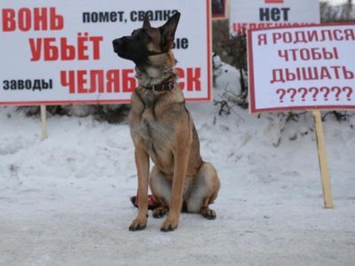 Экологический митинг. Фото: Марина Садчикова Ru